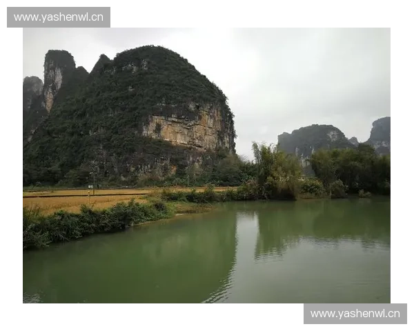 《揭秘Dota2野店生态系统：从草丛到市场的全方位解析》